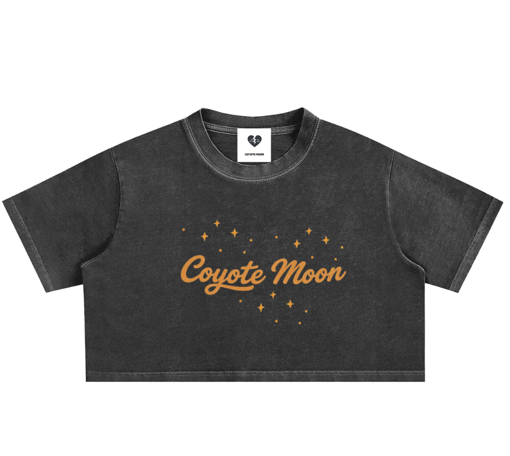 Moonrise Crop Tee